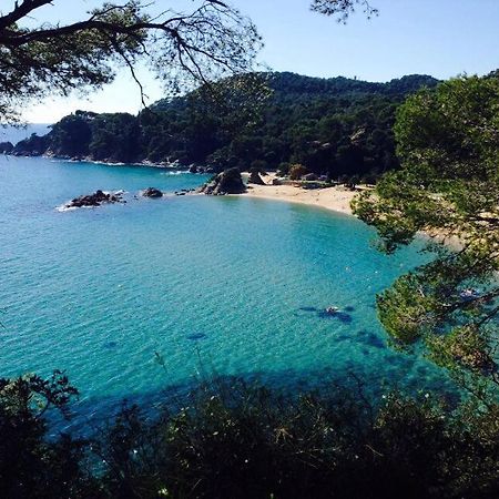 Appartements Les Pesquiers Hyeres Plage מראה חיצוני תמונה