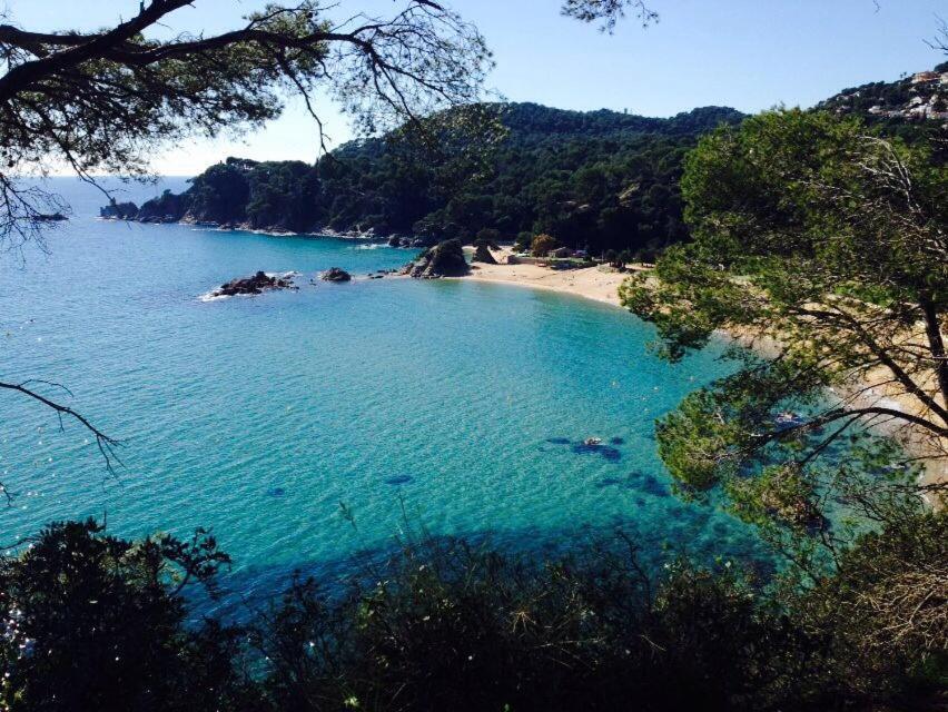 Appartements Les Pesquiers Hyeres Plage מראה חיצוני תמונה