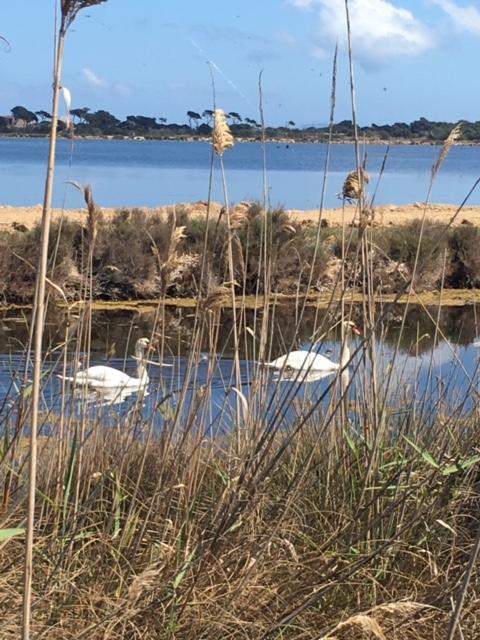 Appartements Les Pesquiers Hyeres Plage מראה חיצוני תמונה